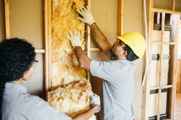 Best Affordable Insulation Services  in Ansonia, OH