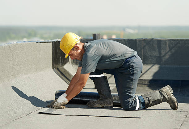 Best Best Insulation Companies  in Ansonia, OH