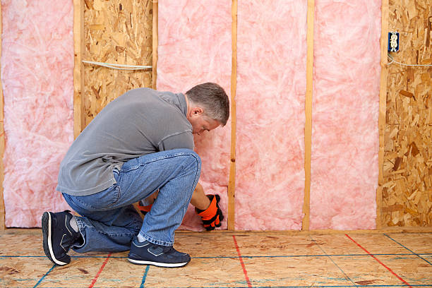 Best Attic Insulation Installation  in Ansonia, OH