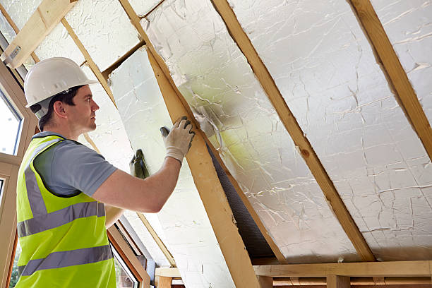 Best Insulation Inspection Services  in Ansonia, OH