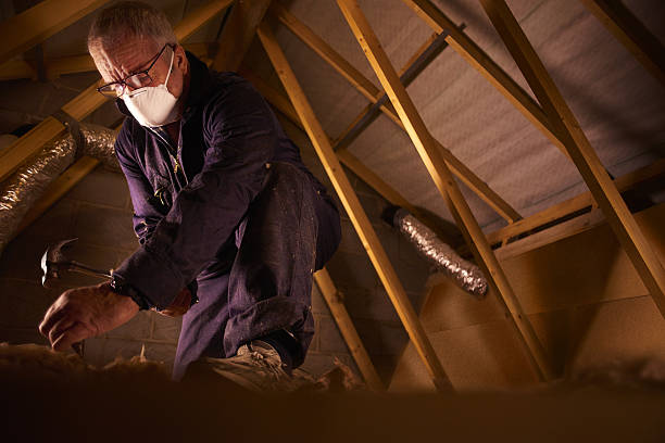 Best Insulation Removal  in Ansonia, OH